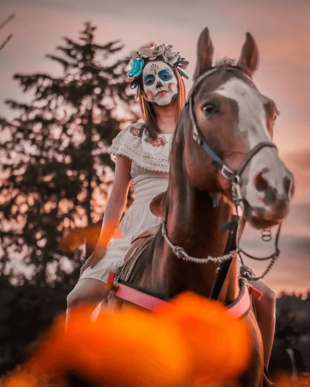 Experiencia cultural en Puebla